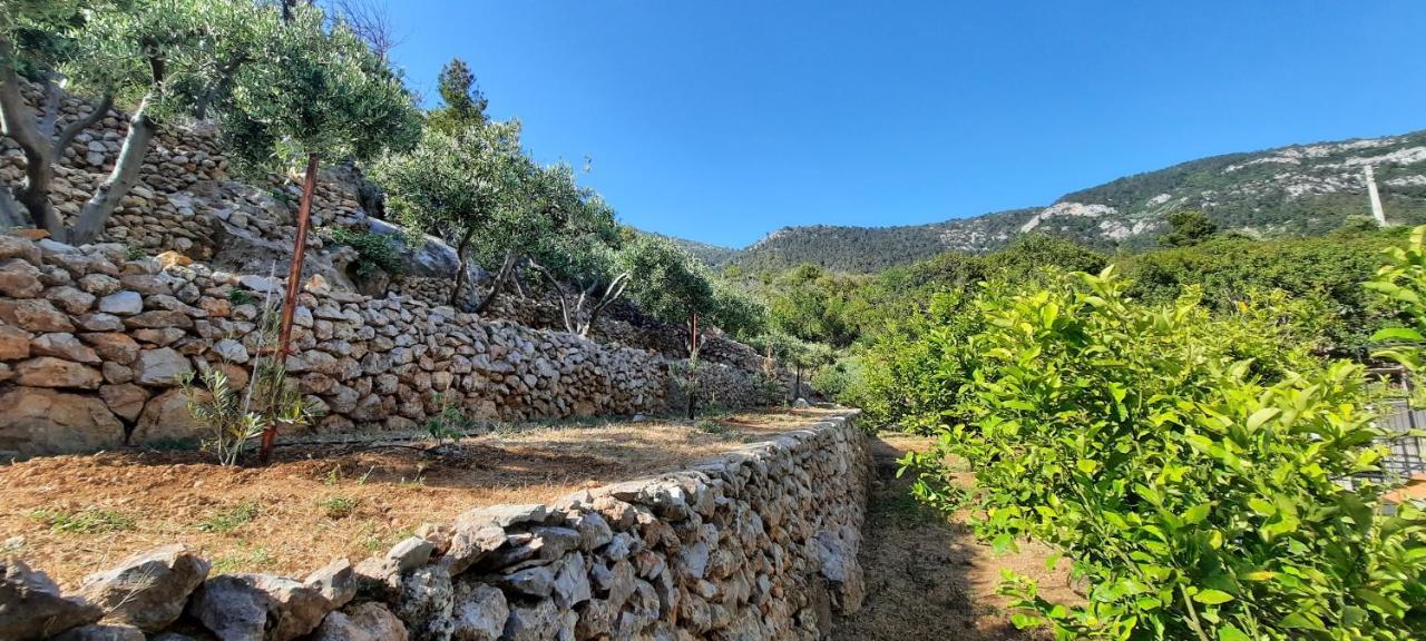 Apartments Suho Komiža מראה חיצוני תמונה
